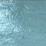 Cattedrale VCP/1008 - Acquamare / Blue see water 160x64CM spes.3MM