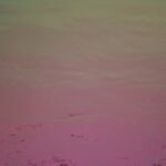 Dicroici 0100-50 Purple AK 90
