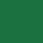 BULLSEYE Stringer 2mm 0145 F verde abete F