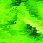 SPECTRUM 526-2W  cattedrale verde muschio