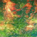 UROBOROS 65-14 PG 3 pallido-scuro marrone verde Dimensioni 60 x 60-80 cm = 0.37-0.47 qm Cassa = 45Lastre = ~20,00qm