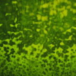 YOUGHIOGHENY 4004 HS PG 1 smeraldo verde Dimensioni 62 x 90 cm = 0.56 qm Cassa = 45 Lastre = 25,2 qm