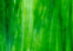 YOUGHIOGHENY 1444 RG PG 3 scuro verde bianco Dimensioni 62 x 90 cm = 0.56 qm Cassa = 45 Lastre = 25,2 qm