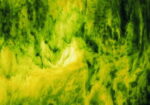 YOUGHIOGHENY 1431 SP PG 4 giallo verde verde cera bianco Dimensioni 62 x 90 cm = 0.56 qm Cassa = 45 Lastre = 25,2 qm