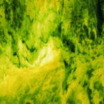 YOUGHIOGHENY 1431 SP PG 4 giallo verde verde cera bianco Dimensioni 62 x 90 cm = 0.56 qm Cassa = 45 Lastre = 25,2 qm