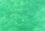 YOUGHIOGHENY 4000 SP PG 4 pallido verde Dimensioni 62 x 90 cm = 0.56 qm Cassa = 45 Lastre = 25,2 qm