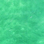 YOUGHIOGHENY 4000 SP PG 4 pallido verde Dimensioni 62 x 90 cm = 0.56 qm Cassa = 45 Lastre = 25,2 qm