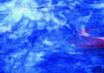 YOUGHIOGHENY N6637 SP PG 4 blu viola rosa Dimensioni 62 x 90 cm = 0.56 qm Cassa = 45 Lastre = 25,2 qm
