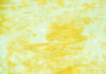 YOUGHIOGHENY Laburnum SP PG 4 giallo ambra cera bianco Dimensioni 62 x 90 cm = 0.56 qm Cassa = 45 Lastre = 25,2 qm