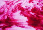 YOUGHIOGHENY N057 SP PG 4 oro rosa cera bianco Dimensioni 62 x 90 cm = 0.56 qm Cassa = 45 Lastre = 25,2 qm
