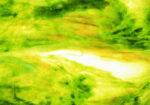 YOUGHIOGHENY 1054 SP PG 4 verde gialloambra cera bianco Dimensioni 62 x 90 cm = 0.56 qm Cassa = 45 Lastre = 25,2 qm