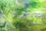 YOUGHIOGHENY LandscapeSP PG 4 verde pallido marrone cera bianco Dimensioni 62 x 90 cm = 0.56 qm Cassa = 45 Lastre = 25,2 qm