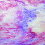 YOUGHIOGHENY 1167 SP PG 4 rosa antico cera bianco Dimensioni 62 x 90 cm = 0.56 qm Cassa = 45 Lastre = 25,2 qm