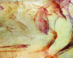YOUGHIOGHENY 55 CR SP PG 4 beige rame rosso Dimensioni 62 x 90 cm = 0.56 qm Cassa = 45 Lastre = 25,2 qm