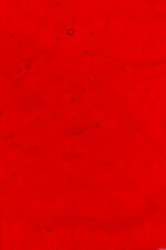KOKOMO 225 LL rosso