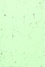 KOKOMO 669 PG 1 pallido verde trasparente Dimensioni 81 x 81 cm = 0.65 qm Cassa = 36 Lastre = 23.40 qm