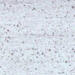 WISSMACH 01 lagody PG 1 trasparente lagody Dimensioni 82 x107cm = 0.87 qm Cassa =25/45 Lastre = ~22qm/39qm