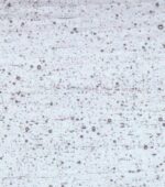 WISSMACH 01 lagody PG 1 trasparente lagody Dimensioni 82 x107cm = 0.87 qm Cassa =25/45 Lastre = ~22qm/39qm