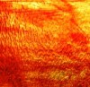 WISSMACH 11 LL PG 6 rosso trasparente LL Dimensioni 82 x107cm = 0.87 qm Cassa =25/45 Lastre = ~22qm/39qm
