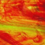 WISSMACH 25 LL verde arancio trasparente