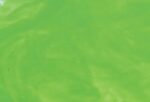 WISSMACH 57 LL verde pallido trasparente