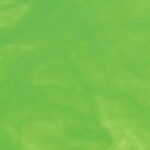 WISSMACH 57 LL verde pallido trasparente