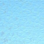 WISSMACH 118 Corella cattedrale grigio blu