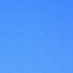 WISSMACH 189 Seville cattedrale blu cielo flat glass 3mm, 82 x 107 cm