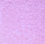 WISSMACH 418 EnglishMu.PG E1 cattedrale lilla (4905) EM Dimensioni 82 x107cm = 0.87 qm Cassa =25/45 Lastre = ~22qm/39qm