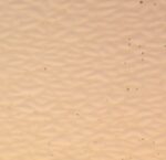 WISSMACH 568 EnglishMu.PG E2 cattedrale champagne (4568)EM Dimensioni 82 x107cm = 0.87 qm Cassa =25/45 Lastre = ~22qm/39qm