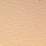 WISSMACH 568 EnglishMu.PG E2 cattedrale champagne (4568)EM Dimensioni 82 x107cm = 0.87 qm Cassa =25/45 Lastre = ~22qm/39qm