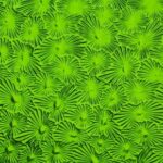 WISSMACH 1146 Flor PG 1 cattedrale prato verde FL Dimensioni 82 x107cm = 0.87 qm Cassa =25/45 Lastre = ~22qm/39qm