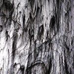 BULLSEYE 2100-00F PG 1F trasparente nero F trasparente Dimensioni 51 x 90 cm = 0.46 qm Cassa = 66 Lastre = ~29,7qm