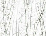 BULLSEYE 4229-00F PG 4F trasparente, F bronzo S grigio ambra F Dimensioni 51 x 90 cm = 0.46 qm Cassa = 66 Lastre = ~29,7qm