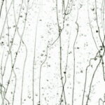 BULLSEYE 4229-00F PG 4F trasparente, F bronzo S grigio ambra F Dimensioni 51 x 90 cm = 0.46 qm Cassa = 66 Lastre = ~29,7qm