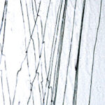 BULLSEYE 4100-00F PG 3F trasparente con S nero F Dimensioni 51 x 90 cm = 0.46 qm Cassa = 66 Lastre = ~29,7qm