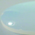 Muggel _ 6mm