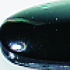 Muggel _ 10mm nero
