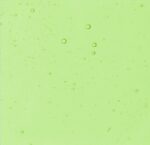 Cattedrale VCC/151-1 Verde ch.mo 120x80 CM