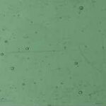 Cattedrale VCC/150-A Verde prato 120x80CM