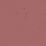 Cattedrale VCC/140-4 Violetto md 120x80 CM