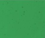 Cattedrale VCC/150-2 Verde medio 120x80 CM