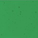 Cattedrale VCC/150-2 Verde medio 120x80 CM