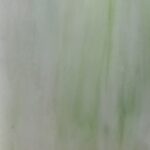 Cattedrale VCC/A3252  Verde chiaro/bianco 120x80CM
