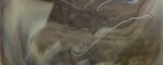 Cattedrale VCP/1514 - Ametista+bianco latte 160x64CM spes.3MM