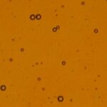BULLSEYE 1221-30F Arancione corallo chiaro 3mm 51x89cm=0,45qm