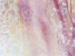 BULLSEYE 6323-00 Oro-rosa-giallo 51 x 89 cm = 0,45 mq