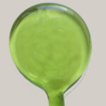 Bacchetta verde erba chiaro